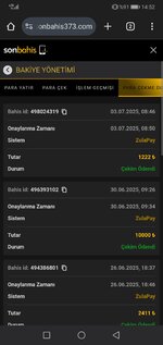 Screenshot_20250703_145206_com.android.chrome.jpg