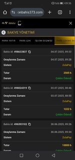 Screenshot_20250704_093634_com.android.chrome.jpg