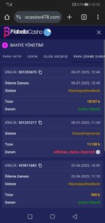 Screenshot_20250708_131503_com.android.chrome.jpg