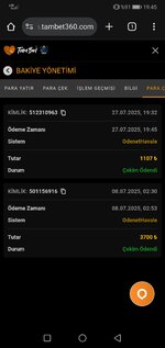 Screenshot_20250727_194511_com.android.chrome.jpg